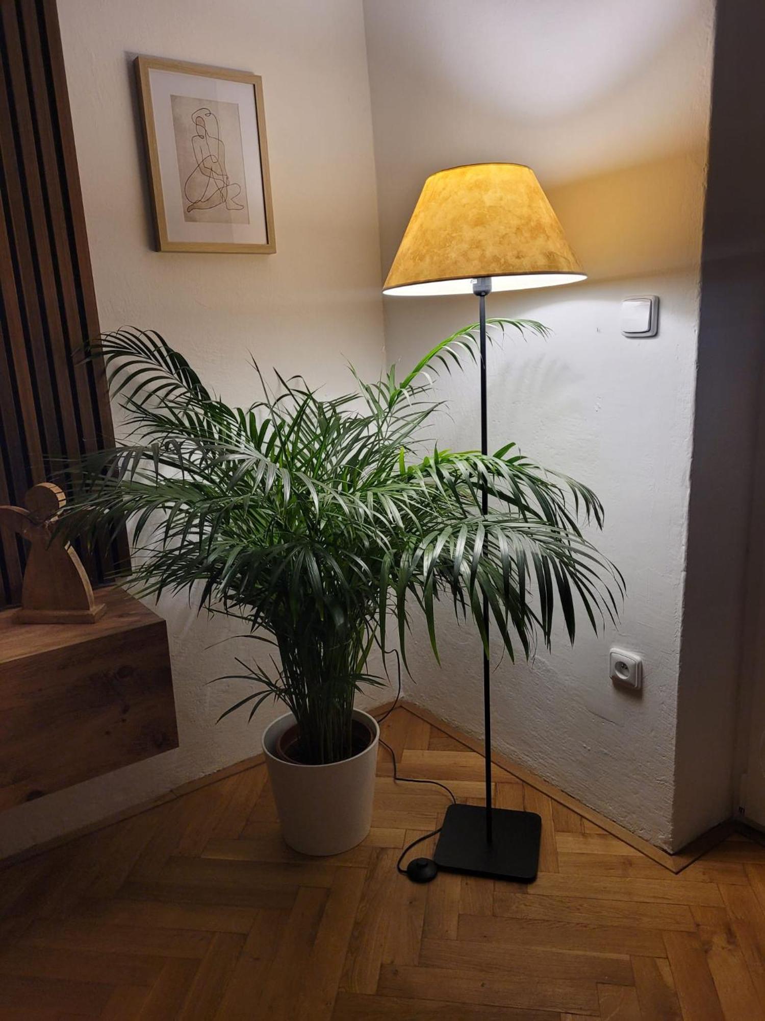 Novy Apartman Eva Jicin Exterior photo